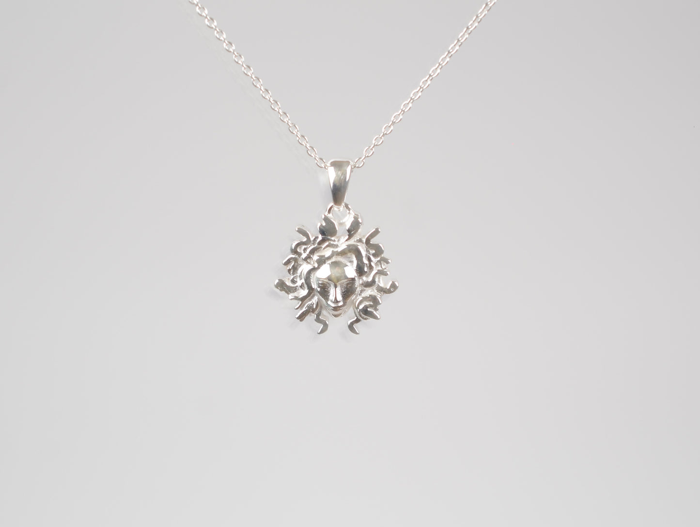 Sterling silver Medusa pendant Necklace